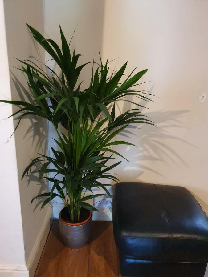 Chaps Guesthouse Southampton Extérieur photo
